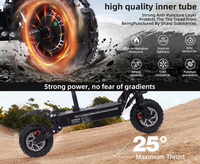Nuevo Scooter Eléctrico Todoterreno de 10 Pulgadas con Neumáticos Anchos, Batería de Litio de 48V, Motor sin Escobillas de 800W*2, 55 km/h, 150 kg, Superventas