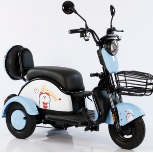 Electric Bicycle Three Wheel Three Wheel Electric Bicycle Electric Tricycle for Adults Adult - Product Image 6