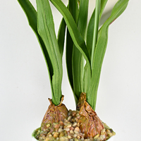 Fleur artificielle en PU, pivoine en pot, 40 cm, 3 têtes, design de base en forme d'ampoule, pour décoration florale intérieure, table, fenêtre, maison