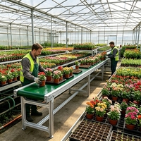 Convoyeur à bande plat modulaire industriel pour ligne de production de traitement des fleurs, compatible avec la découpe et le regroupement