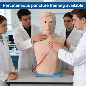 Modèle d'entraînement à la ponction péricardiale et à l'injection intracardiaque, outil pédagogique en sciences médicales pour les écoles de médecine - Product Image 3