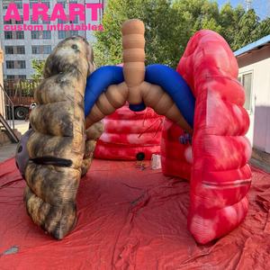 Pulmón inflable de gran oferta, modelo de pulmón inflable, pulmones insalubres inflables para exhibición - Product Image 1