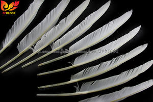 Оптовая продажа с завода ZPDECOR, дешевый запас белых уток 30-35 см, указка, перья крыла для тринидада, карнавальных костюмов - Product Image 4