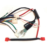 Customized Motorcycle CG150 Main Wire Harness Factory Direct Supply for Electrical Systems
