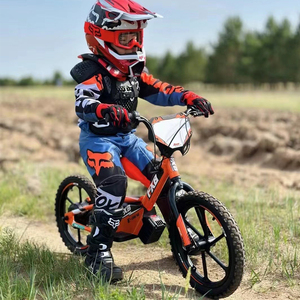 250W 36V 16 pulgadas Niños Sin Pedal Bicicleta, Scooter Eléctrico Powered Kids Baby self mini Balance Bike - Product Image 6