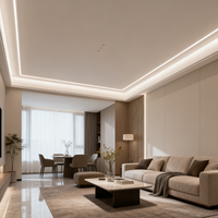 DGLUX Perfiles de Aluminio LED Integrados, Duraderos y Antioxidantes, Barra de Luz Lineal, Luminaria de Extrusión