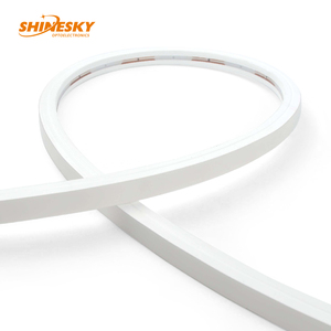 Tira <span class=keywords><strong>LED</strong></span> de luces de neón flexible impermeable para exteriores, Digital SPI, de 24V, 10x10mm, para decoración de paisaje, publicidad, Iluminación comercial - Product Image 6