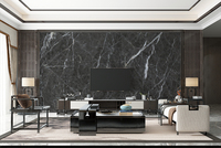 Panneau mural décoratif moderne en WPC imperméable à l'eau, motif marbre, pour utilisation en intérieur dans les hôtels