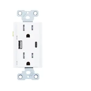 Usb Type C Stopcontact Pd 36W Dubbele Snellader Stopcontact 15 Amp Smart Snel Opladen Mogelijkheid Sabotabestendige Muurplaat