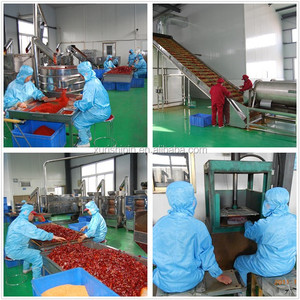 Polvere di Peperoncino Piccante di Livello Export Senza Additivi Bassa Umidità Piccantezza e Colore Personalizzabili - Product Image 6
