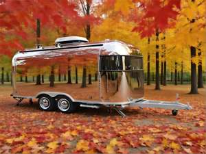 Chariot de nourriture trinitain avec friteuse <span class=keywords><strong>Bara</strong></span> et pot à curry Channa pour sandwichs aux pois chiches, wraps roti et sauce au poivre - Product Image 1