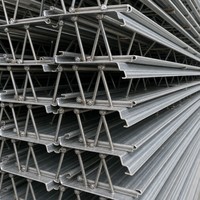 Plateforme de plancher en treillis d'acier architectural traditionnel, finition galvanisée haut de gamme, surface antidérapante, renforcement en béton