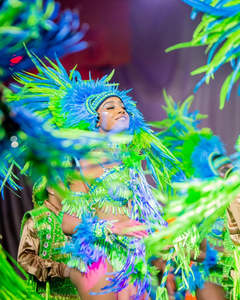 12-14인치 고품질 친환경 염색된 수탉 깃털 천연 아조 프리 인증 패션 카니발 장식 - Product Image 3