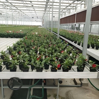 Grands bancs roulants en ABS pour hydroponie et pépinière, système d'irrigation et de drainage par flux et reflux avec capacité d'arrosage illimitée