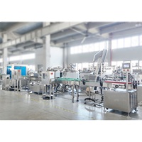 Ligne de production alimentaire en conserve automatique de fruits en conserve de fraises et de pêches jaunes nouvel état avec machine de stérilisation alimentaire clé