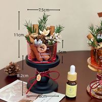 Cannelle richesse bricolage cristal pierre diffuseur bouteille en verre bureau bureau ornement huile essentielle aromathérapie bougie bâton