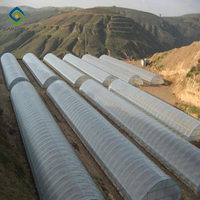 Serre tunnel agricole monopente pour tomates/fraises, fabrication chinoise