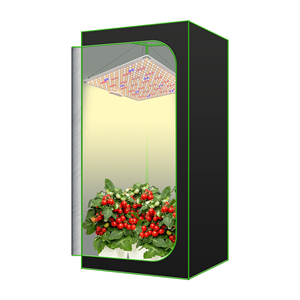 Redfarm meilleure lumière de livraison directe grandir <span class=keywords><strong>RQ</strong></span> 200W intérieur grandir led Veg Bloom spectre complet - Product Image 6