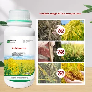 Phân bón lúa để tăng năng suất phân bón hữu cơ để thúc đẩy tăng trưởng phân bón nông nghiệp cải thiện chất lượng gạo - Product Image 4