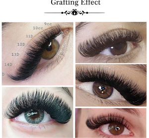 Yelix 8-20mm 4D/5D/6D Pestañas de Abanico Fácil 0.03 0.05 Extensiones de Pestañas Curva B D Bandejas de Pestañas Auto Florecientes de Fácil Aplicación - Product Image 3