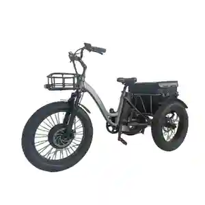 Best price for T-48v1000w High-Performance electric cargo bike mid drive tricycle electric