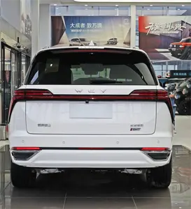 Hot Great Wall Weipai New Energy Vehicle Lanshan DHT PHEV Medium And Large Electric Vehicle New CarLanshan DHT PHEV