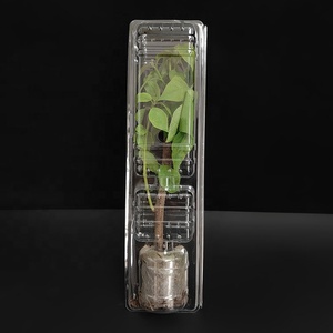 再生宠物塑料活植物车苗花盆运输保护吸塑盒 - Product Image 4