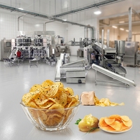 Productielijn voor aardappelchips 200kg/uur, continu frituursysteem en hogesnelheids ontvettingsysteem voor kleine snackfabriek