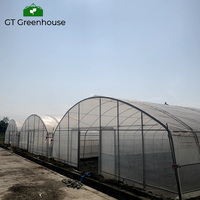 Serre d'extérieur GT, structure de serre en plastique, agriculture commerciale, à vendre