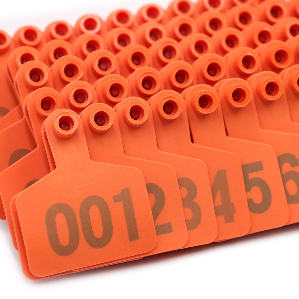 Etichette Identificative Conigli 100 Targhette Identificative Per Orecchie - Per Conigli, Cani E Piccoli Animali, Numerate E Verdi Targhette Orecchio Conigli