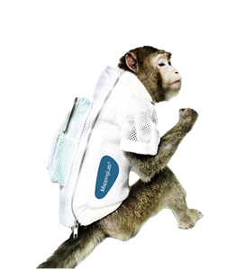 Solución de Telemetría Portátil para Farmacología Segura en Cerdos, Perros y <span class=keywords><strong>Monos</strong></span> en Movimiento Libre - Product Image 6