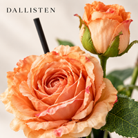 Diffuseurs de rose artificielle Dallisten avec vases en verre noir, parfum floral, décoration d'intérieur pour hôtel, chambre, mariage, vente en gros
