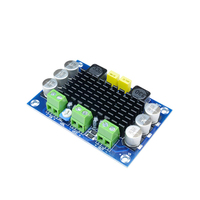 Carte d'amplificateur audio XH-M542 TPA3116 100W, DC 12V 24V, TPA3116DA, carte d'amplificateur audio numérique monocanal, module d'amplificateur haute puissance