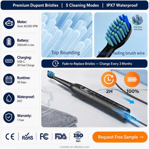 T8 Sonic Electric <strong>Toothbrush</strong> IPX7 Waterproof 5 Modes Rechargeable USB Charge Travel Case OEM Custom Logo Adult - Product Image 2