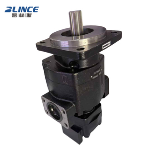 חלקי משאבה הידראולית של בלינס תחליפים למשאבת פארקר הידראולית 257954A1 PGP350 משאבת הילוכים הידראולית עבור מחפרון קייס 580SM 590SM סדרה 2 - Product Image 2