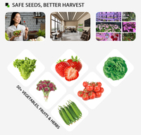 Système hydroponique de bureau pour légumes verts et herbes taille compacte