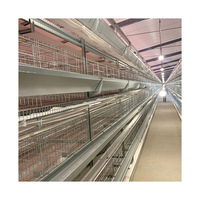 Nouvelle cage d'élevage automatique de type A pour poussins et poulets d'un jour