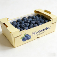 Hoge kwaliteit stevige recyclebare verpakking van gerecycled papier voor fruit (blauwe bessen, sinaasappels, bananen, kersen)