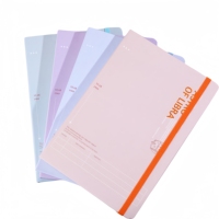 Cuaderno de Tapa Dura Depai A5-6000 con Cierre de Banda Elástica, 100 Hojas, Papel Rayado de 80 g/m², Diseños de Portada Surtidos, para Estudiantes y Oficina