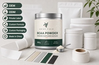 Complément Nutritionnel Sportif d'Acides Aminés à Chaîne Ramifiée (BCAA) avec une Dose de 5-10g, 300g, Certifié Halal, Protéine Personnalisée