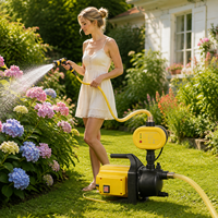 Pompe de jardin à commande de pression automatique pour l'alimentation en eau des puits et les projets d'irrigation des jardins.