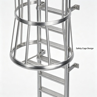 Échelle de sécurité en acier galvanisé avec marches en acier inoxydable SS304, accès vertical industriel pour usine, entrepôt, silo, toit, tour
