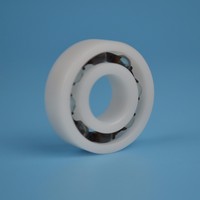Roulement à rouleaux en plastique POM PA Nylon à faible friction et peu coûteux, précision P2, pour utilisation dans les restaurants