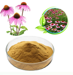Beste Prijs Hoge Kwaliteit Biologische <span class=keywords><strong>Echinacea</strong></span> Purpurcea Poeder Te Koop - Product Image 6