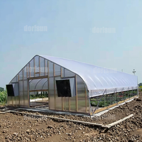 Serre agricole de 1000 mètres Tunnel pliant en plastique automatisé Kit de serre de jardin de fraises vente aux EAU