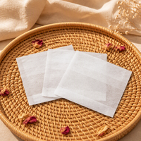 Sachets de thé biodégradables en PLA de qualité alimentaire, écologiques, personnalisables avec logo, emballage vide de style pyramide carrée, vente en gros
