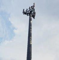 Monopole Telecom pour système de communication mobile