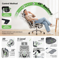 Chaise de bureau ergonomique haut de gamme en maille avec dossier réglable sur 5 niveaux et accoudoirs 4D pour espace de travail familial