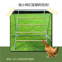 Échelle d'escalade de poulet Tuyau galvanisé Échelle de perche de jeu debout de volaille de poulailler durable