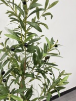 Plantes artificielles réalistes de 6 pieds, olivier artificiel en pot, décoration d'intérieur, tronc en bois naturel, fruits réalistes en pot